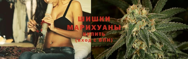 шишки Абаза