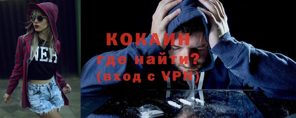 шишки Абаза