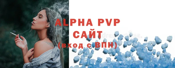 шишки Абаза