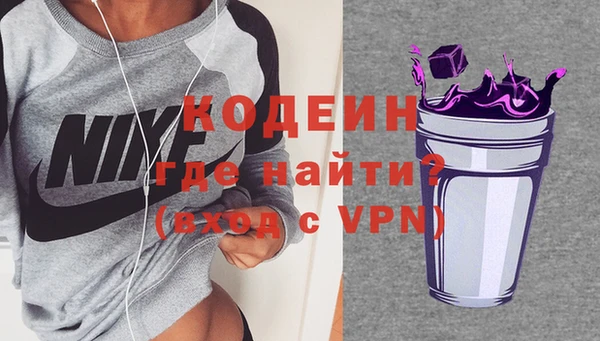 шишки Абаза